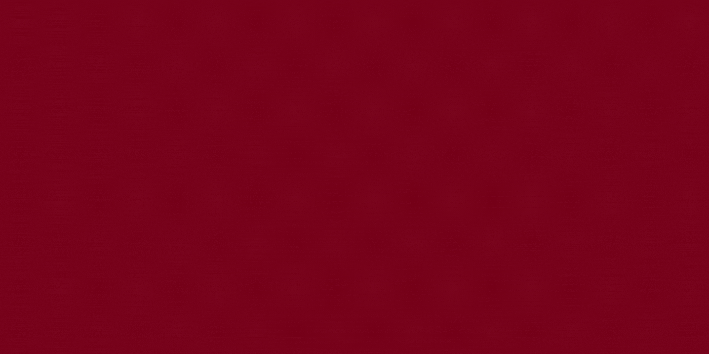 branding-ajuntament-sant-vicenc-castellet